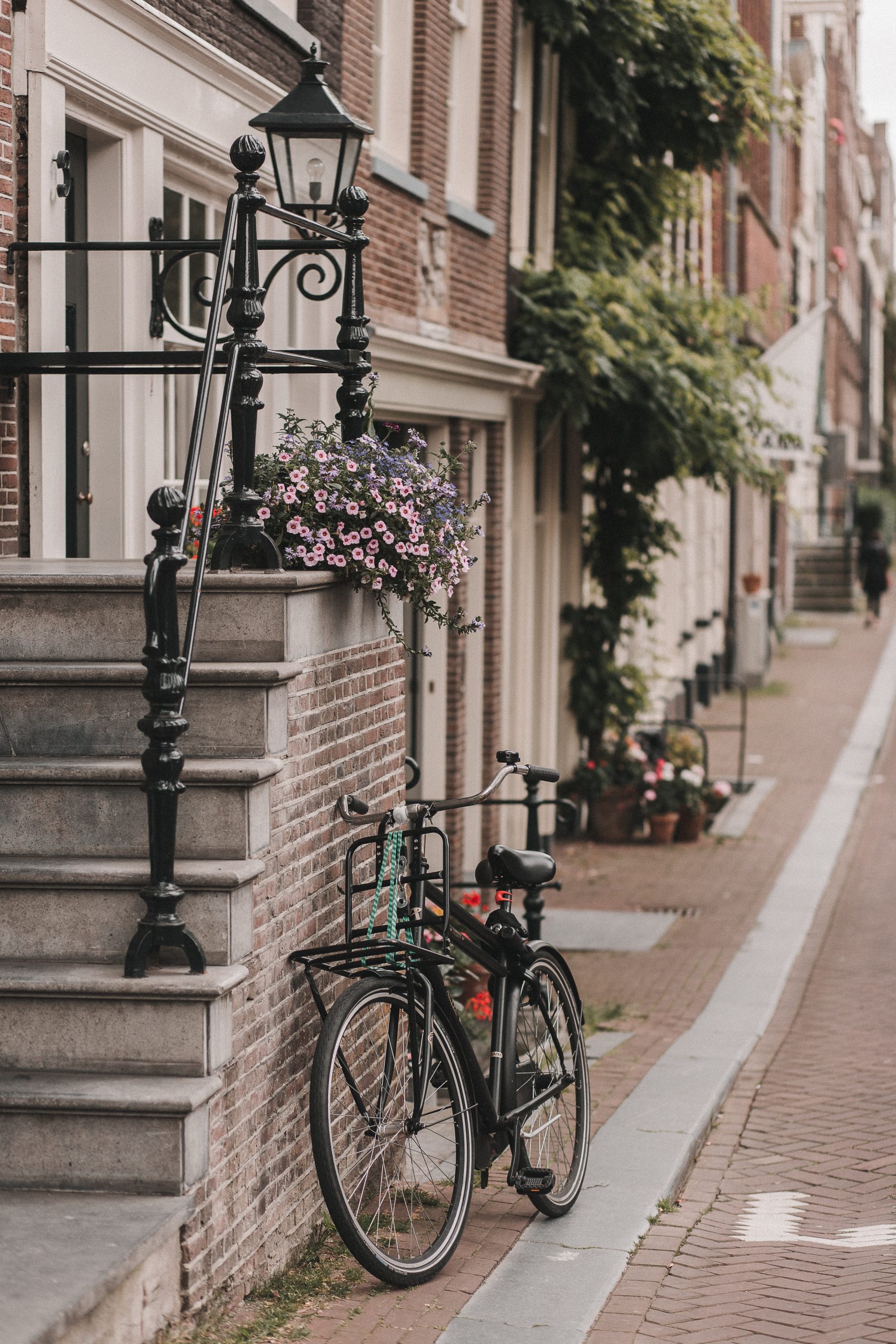Bikes Amsterdam Netherlands